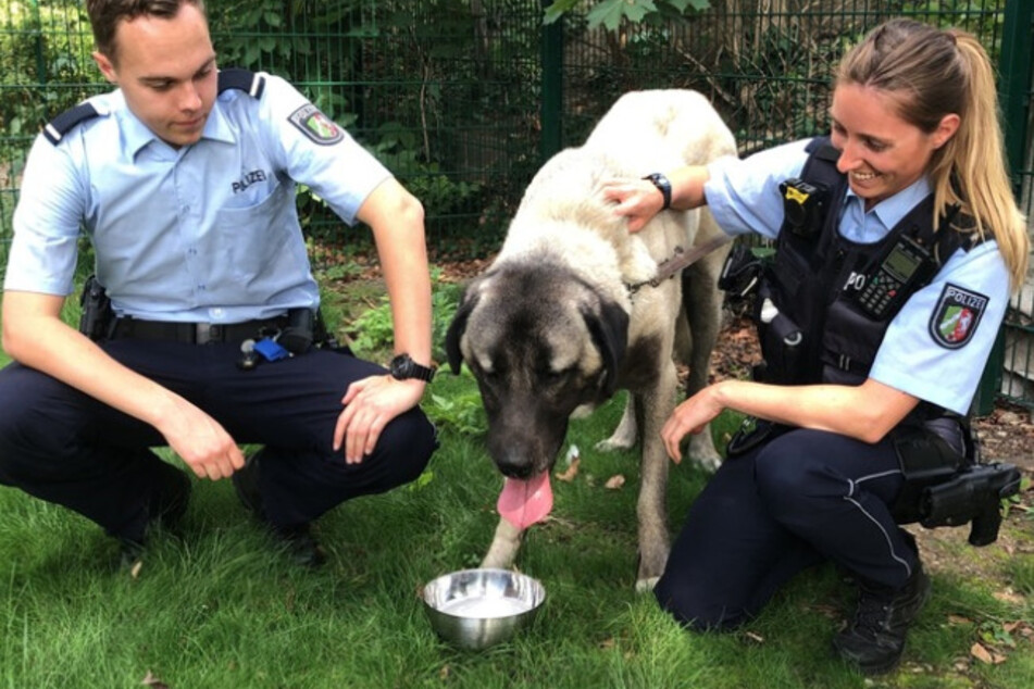 Zwei Polizisten mit dem geretteten Kangal-Hund.