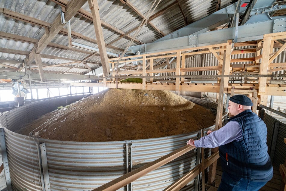 Patrick Rückert blickt sorgenvoll auf ein volles Hafer-Silo. Für 500 Tonnen Bio-Hafer sucht er noch einen Abnehmer.