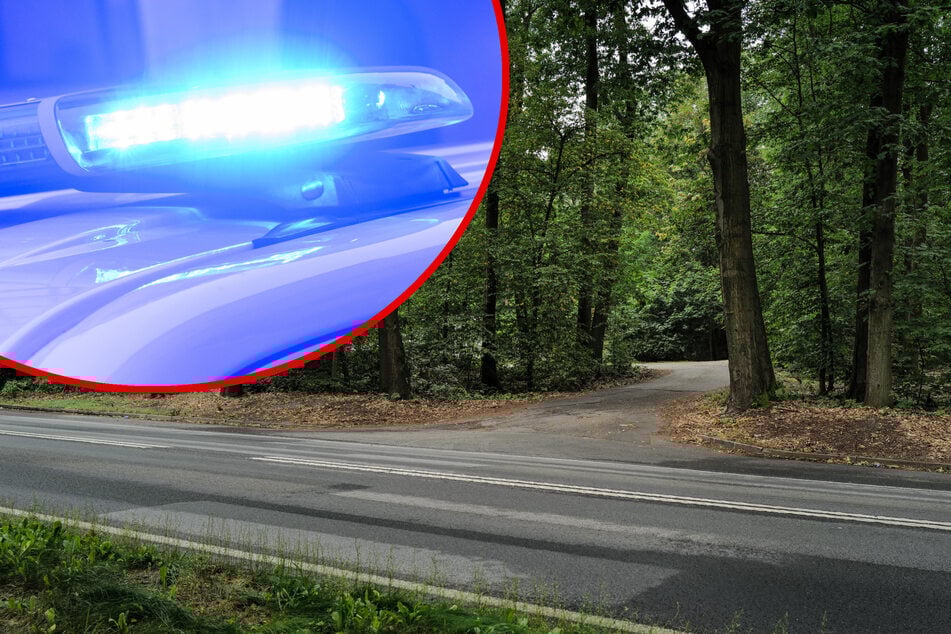 Schockfund in Sachsen: Junge Frau tot im Wald entdeckt! 16-Jähriger festgenommen