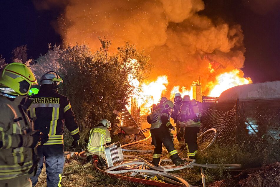 Gartenlaube fackelt ab: Mann im Gebüsch entdeckt und festgenommen