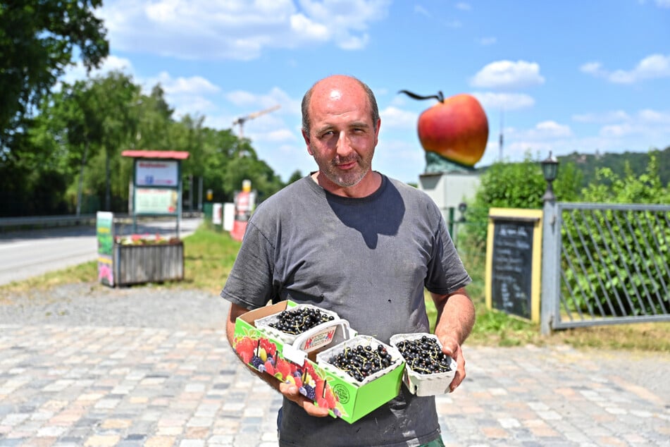 Auch Obstbauer Robert Rüdiger (42) rechnet mit viel weniger Kundschaft.