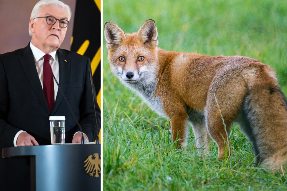 Frank-Walter Steinmeier sucht einen Namen für den "heimlichen Schlossherr".