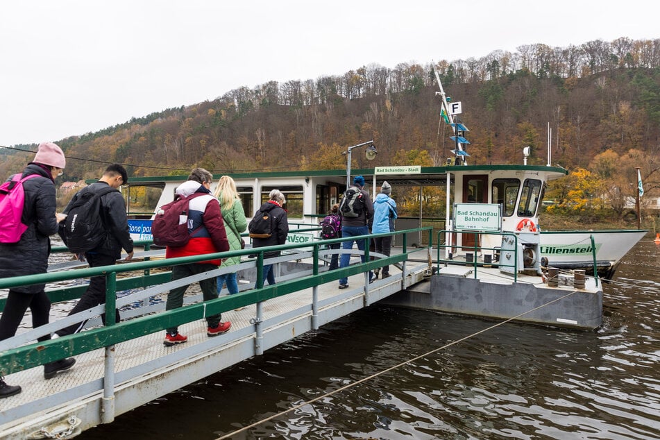 Pendler können die Fähre in Bad Schandau inzwischen kostenfrei nutzen.