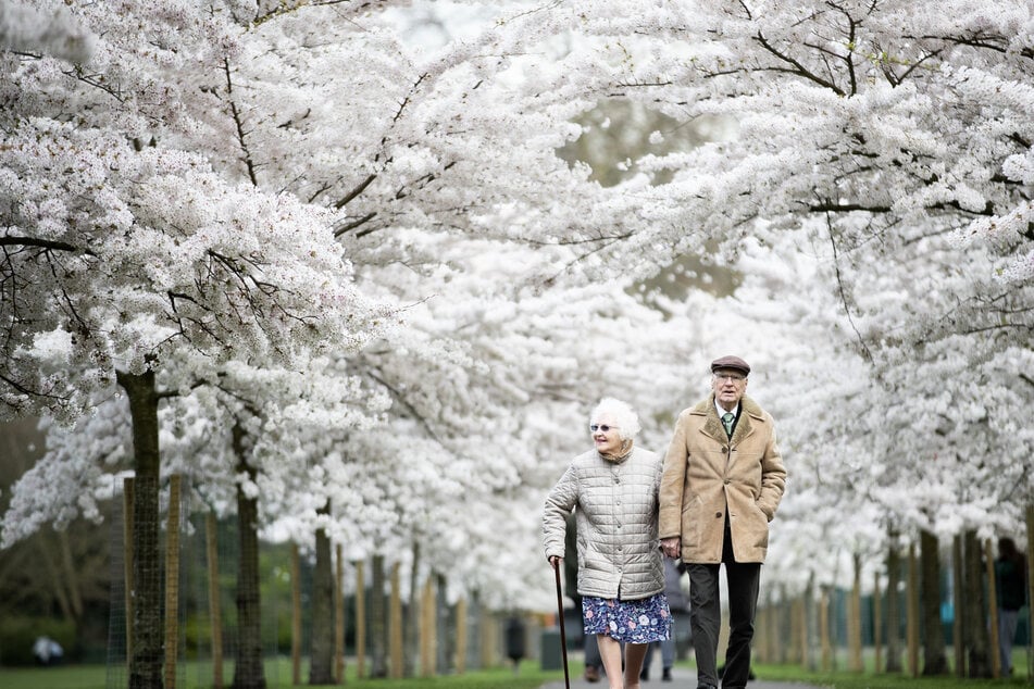 Trotz körperlicher Beschwerden: Alte Menschen sind oft zufriedener mit ihrem Leben.