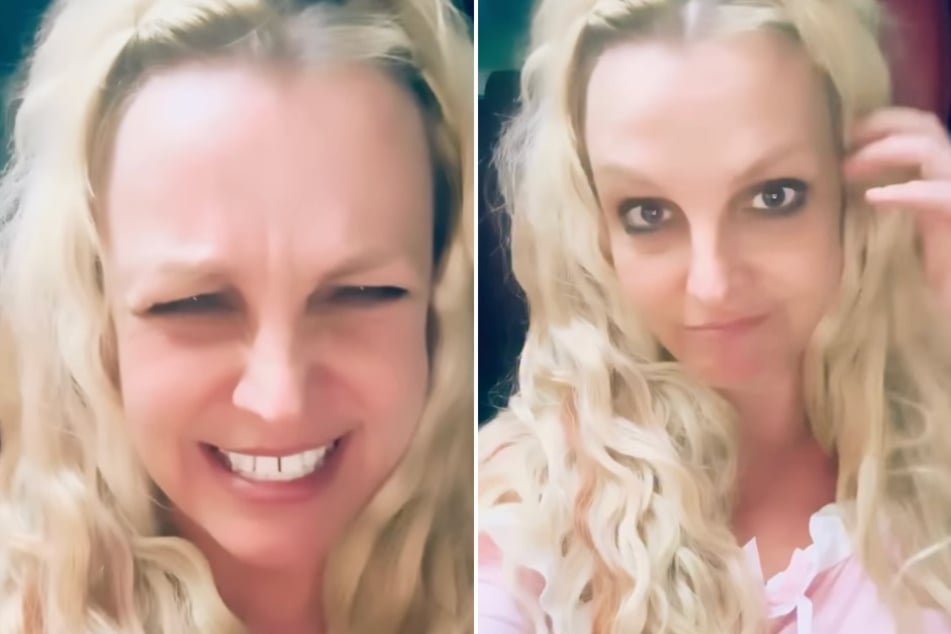 Britney Spears spent her Friday hitting a pet store and heading to see The Devil Wears Prada 2.