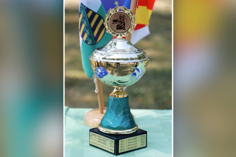 Mylo heimste einige Pokale bei Wettbewerben ein.