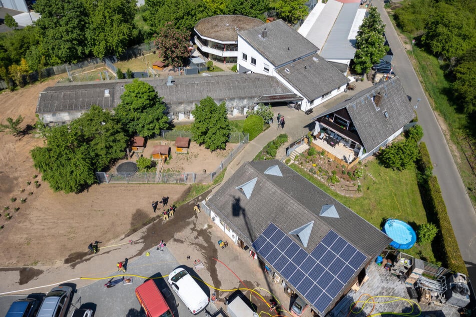 Derzeit wartet der kleine Rüde mit dem lustigen Namen und dem großen Herzen im Tierheim Aschaffenburg auf sein Glück.