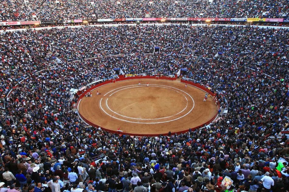 Arena in Mexiko-Stadt: Auch in anderen Teilen der Welt sind Stierkämpfe ein beliebtes Event.