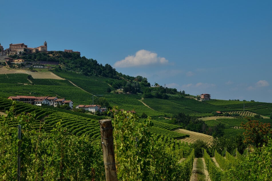 In den Alpen, im Nordwesten Italiens, ist ein deutscher Urlauber abgestürzt. Das Bild zeigt die italienische Region um Turin. (Archivfoto)