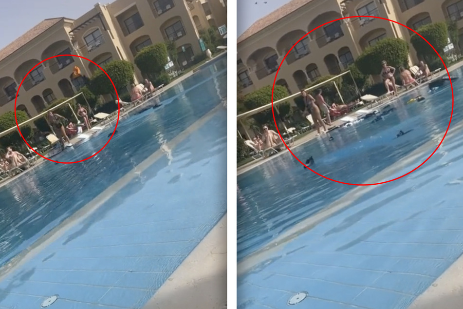 In dem Video ist zu sehen, wie die Frau alle Habseligkeiten aus dem Koffer ihres vermeintlichen Partner in den Pool wirft.