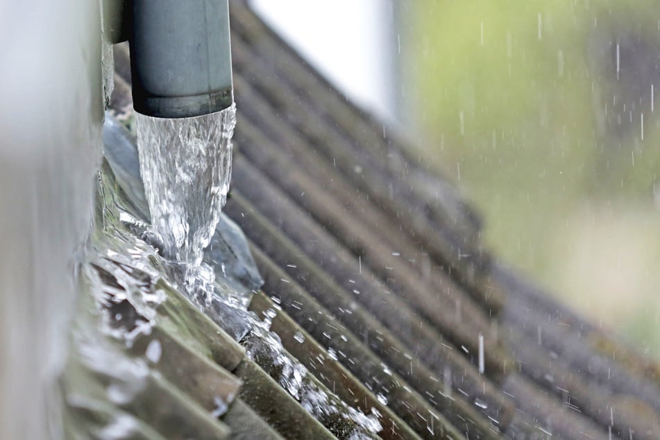 Regenwasser ist eine Ressource, deren Nutzung bislang oft vernachlässigt wird.