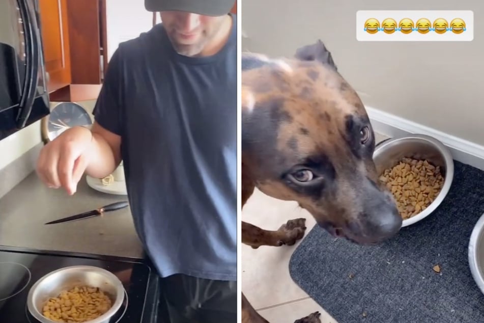 Spoiled dog only eats her meals if they include a secret ingredient