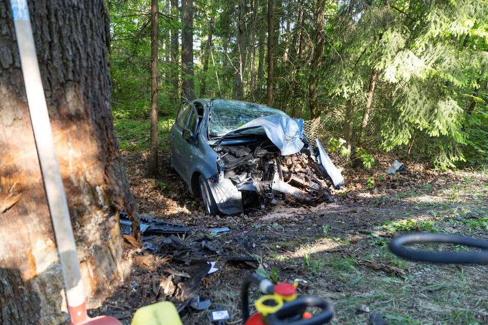 Der Autofahrer überlebte den Unfall nicht.