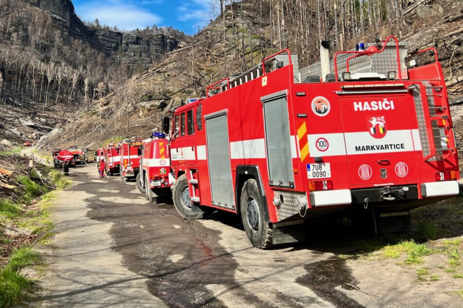 Waldbrand in Böhmischer Schweiz ausgebrochen: Betrunkener 25-Jähriger gestellt