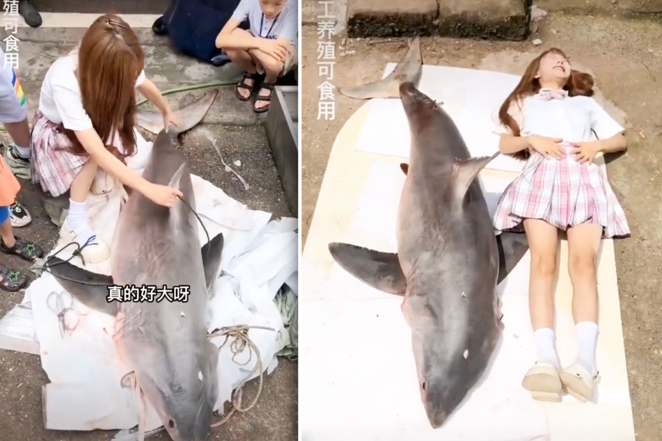 Jin beim Kauf des weißen Hais. Sie legt sich neben ihn um zu demonstrieren, wie groß das Tier ist.