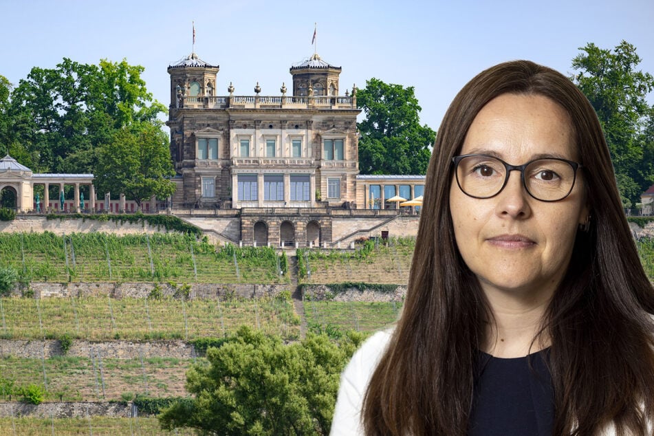 Entscheidung naht: Zukunft fürs Lingnerschloss erhitzt die Gemüter