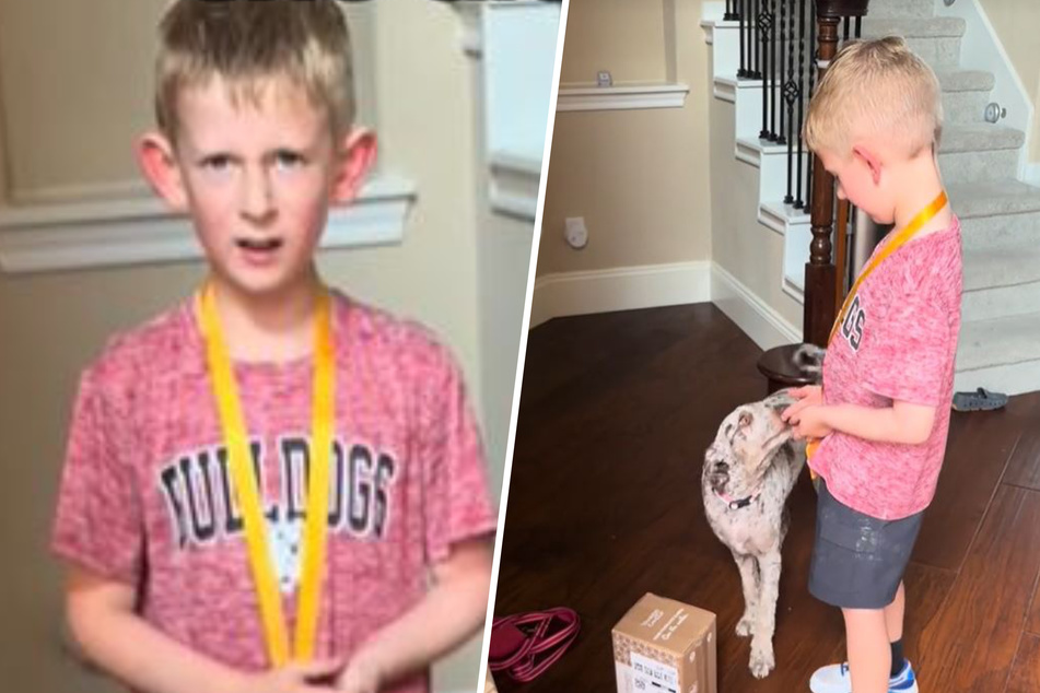 This kid didn't recognize his dog after she got a hair cut. He thought his mom had gotten him a new dog!