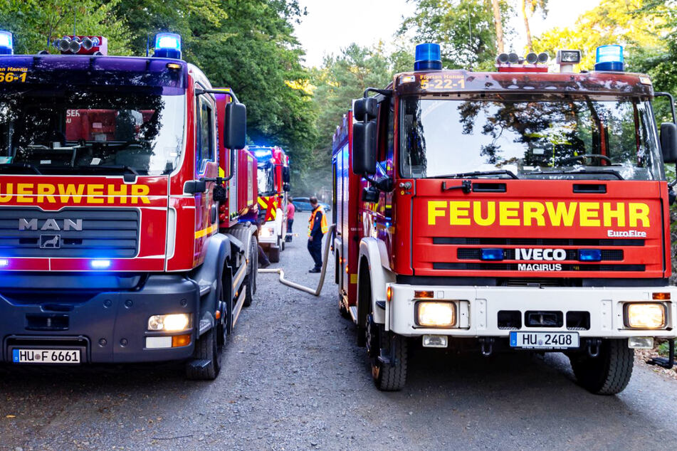 Die Feuerwehr im Wald bei Klein-Auheim: Im südosthessischen Main-Kinzig-Kreis kam es am Mittwoch zu zwei Waldbränden.