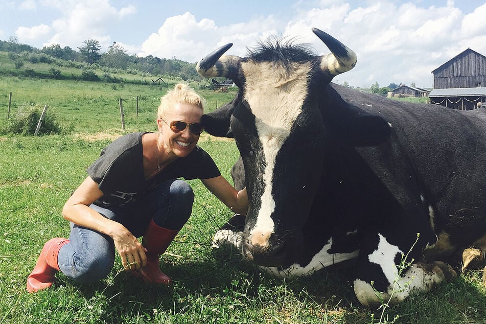 Bausch takes time to hang out with a cow relaxing in a field.