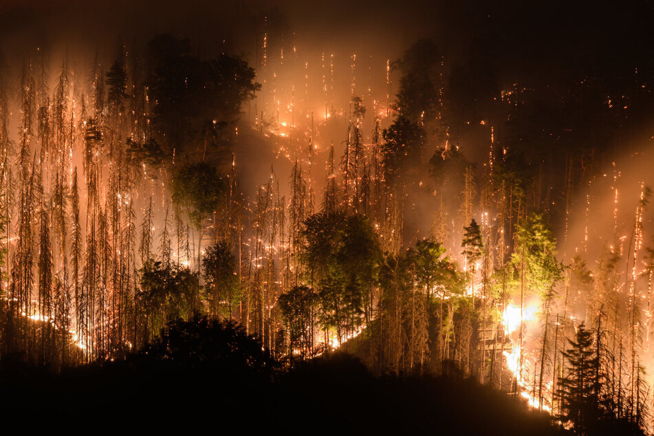Die Bilder der Waldbrände in Böhmen und Sachsen haben sich tief ins Gedächtnis der Menschen vor Ort eingebrannt.