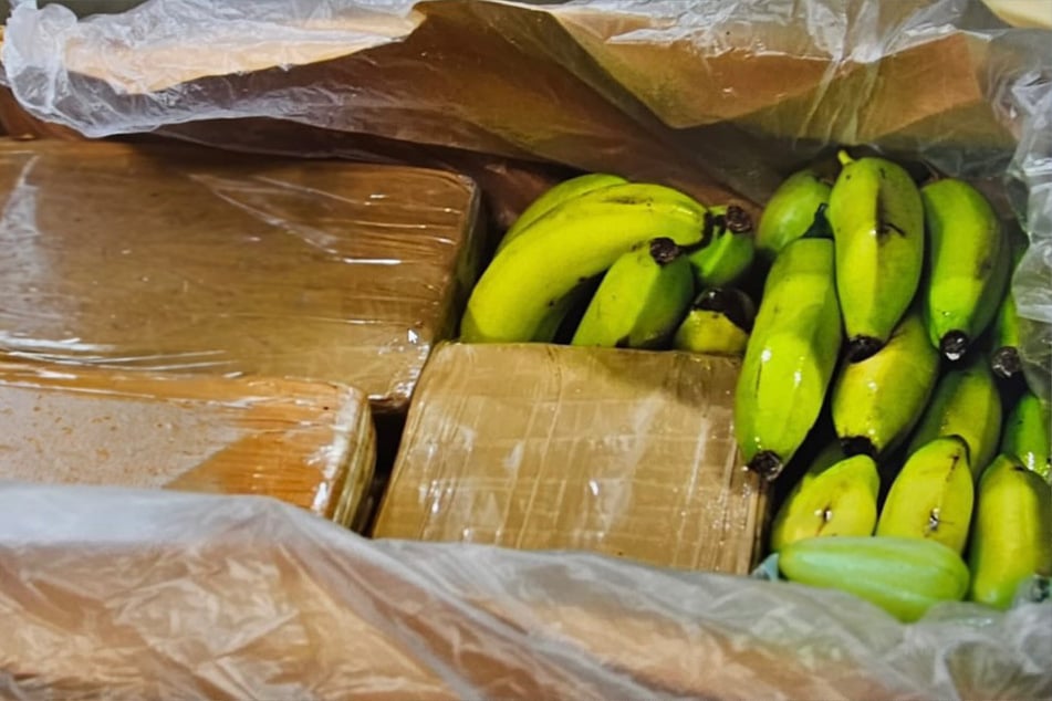 Verdächtige Bananenkisten: Mitarbeiter entdecken riesige Menge Kokain