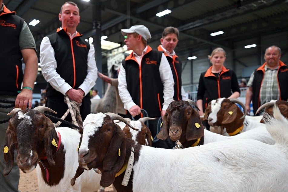 An diesem Wochenende findet in Erfurt die Agrarmesse statt.