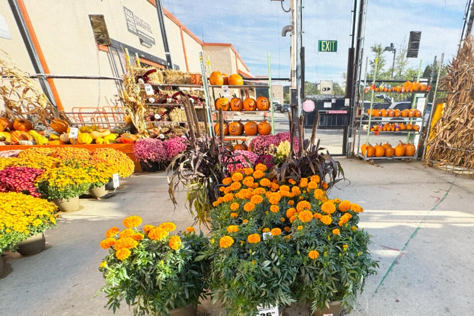 Grab these popular fall essentials on Wednesday, October 29 at Home Depot