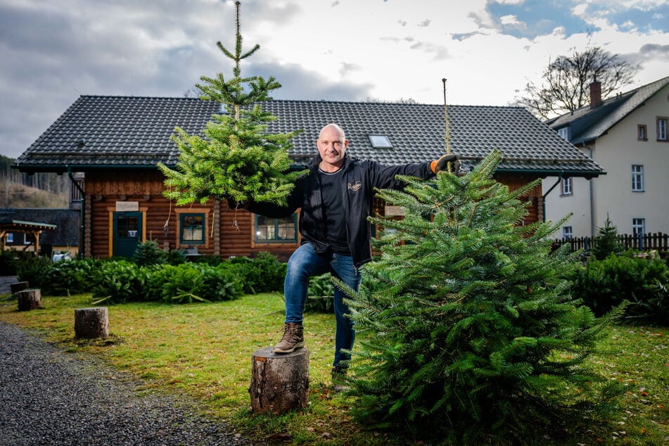 Uwe Müller (51) empfängt Gäste am Sonnabend zur Weihnachtsbaumparty am Blockhauscafé in Erdmannsdorf.