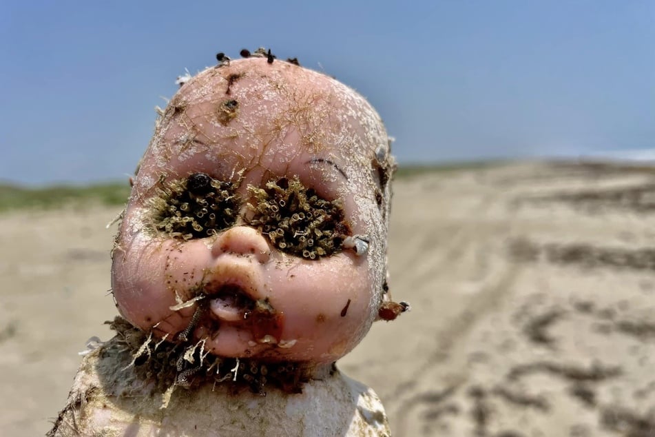 Wer einen Spaziergang am Mustang Beach in Texas macht, sollte nicht überrascht sein, einen solchen Puppenkopf im Sand zu finden.