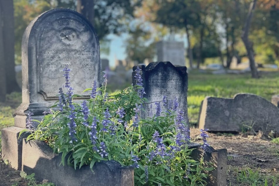 Auf diesem Friedhof trieb der Angeklagte etliche Male sein Unwesen.