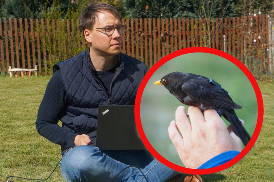 In seinem eigenen Garten hat Marco Krondorf das Projekt getestet.