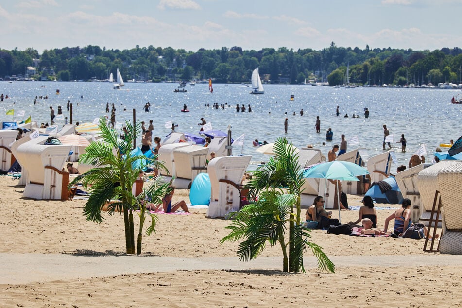 Zum Strandbad Wannsee in Berlin kommen Fahrgäste ab Donnerstag mit der Bus-Linie 312 der BVG.