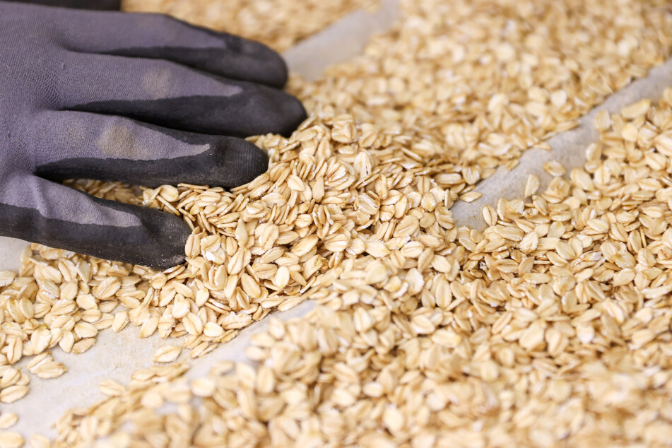 Trotz Haferdrink-Boom: Getreide bleibt ein Nischen-Produkt auf deutschen Äckern