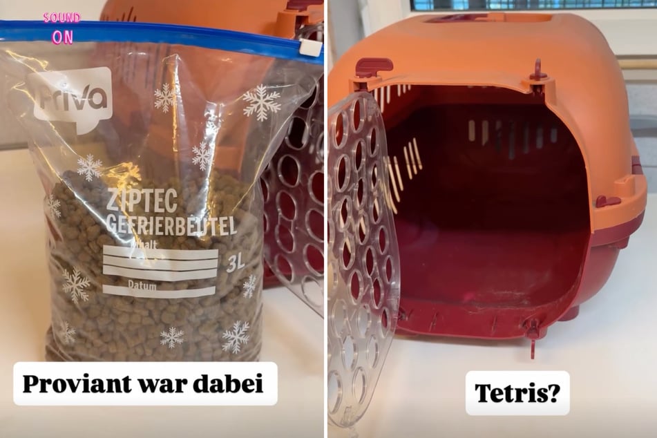 Laut den Tierschützern war die Box viel zu klein für die Tiere und das Futter durch die verschlossene Packung nicht brauchbar.
