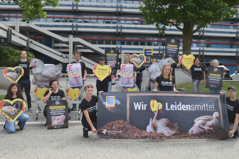 Vor der Edeka-Zentrale versammelten sich am Mittwoch rund zwei Dutzend Tierschützer.