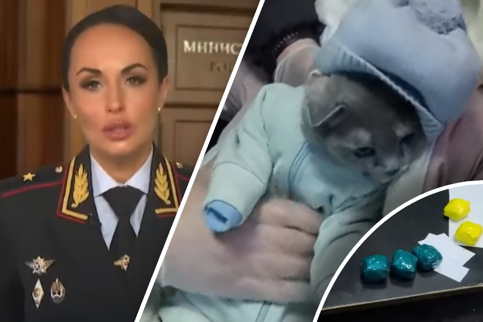 Cat gets disguised as baby in over-the-top outfit to smuggle drugs