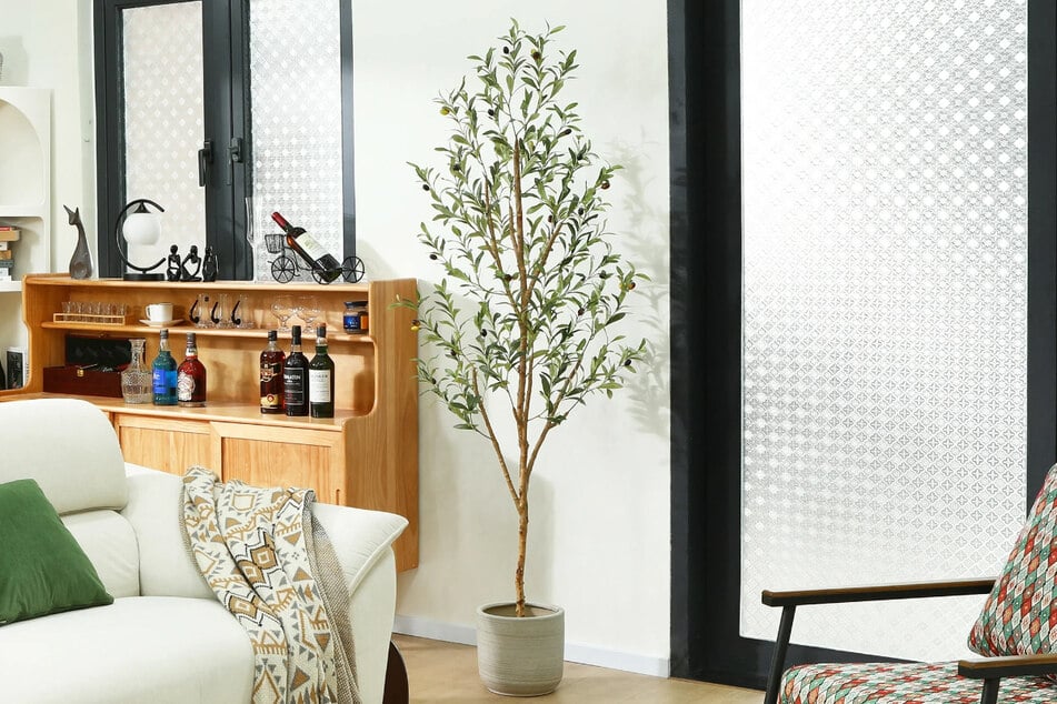 Walmart's Stylish Olive Tree Brings Instant Style Without the Green Thumb