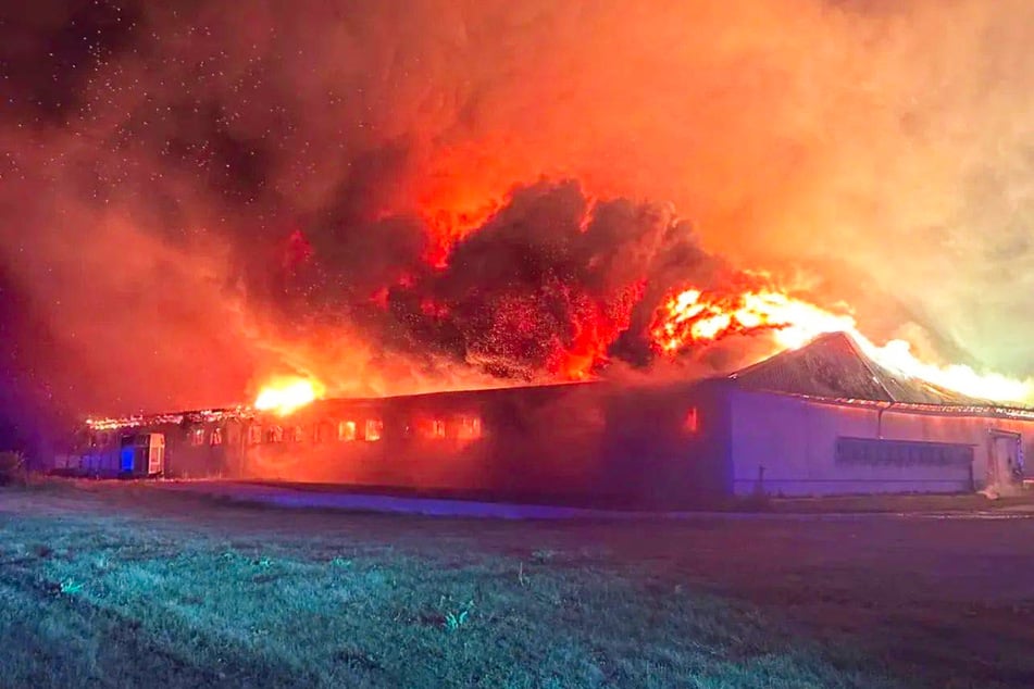 Eine riesige Feuerwalze zerstörte große Teile des Betriebs und löschte das Leben Tausender Schweine aus.