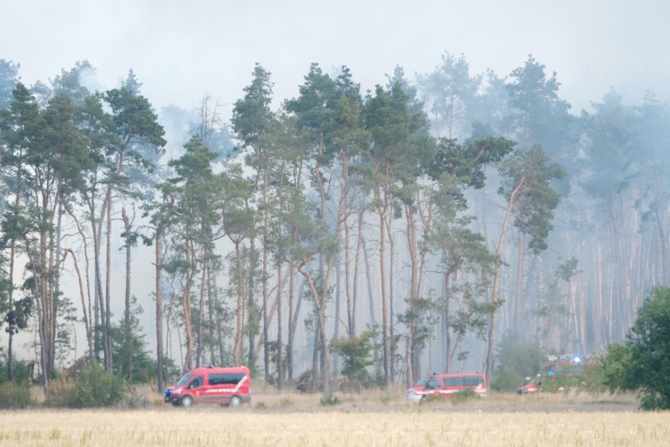 Waldbrand in Brandenburg hält weiter Hunderte Feuerwehrleute auf Trab!