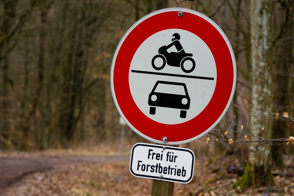 Über eine Forststraße wollte ein Mann ins Tal fahren und kam dabei von der Straße ab. (Symbolbild)