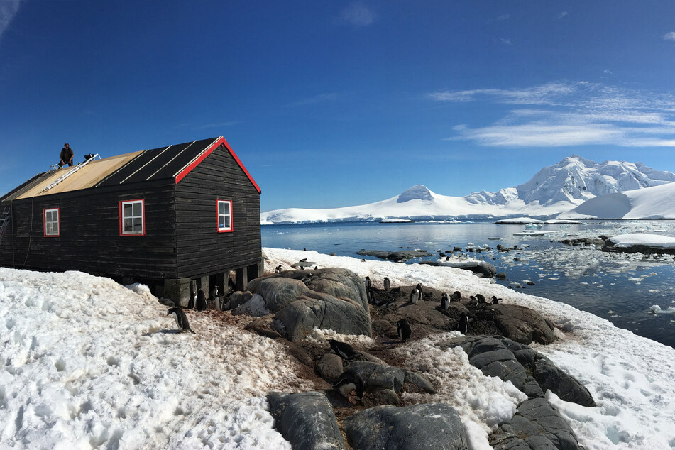 Unter extremen Lebensbedingungen werden die vier Frauen fünf Monate auf der Antarktis-Insel verbringen.
