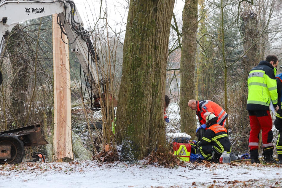 Baum kippt um und erschlägt Arbeiter