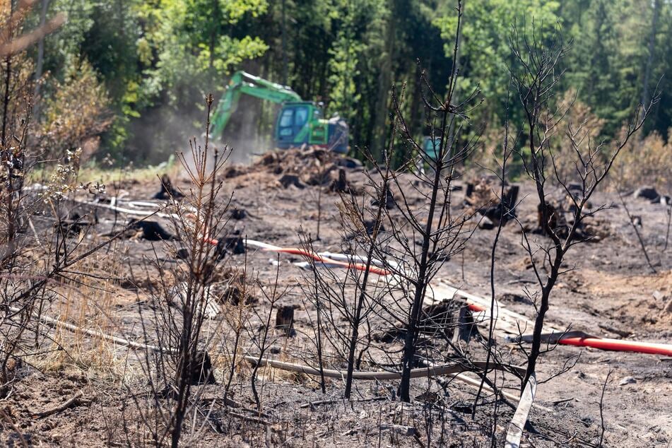 Waldbrand in Sachsen: Wegen trockener Böden und Wind bleibt die Lage angespannt