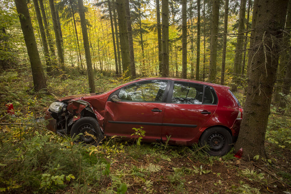 Der VW rutschte in einen Wald, konnte durch einen Baum gestoppt werden.