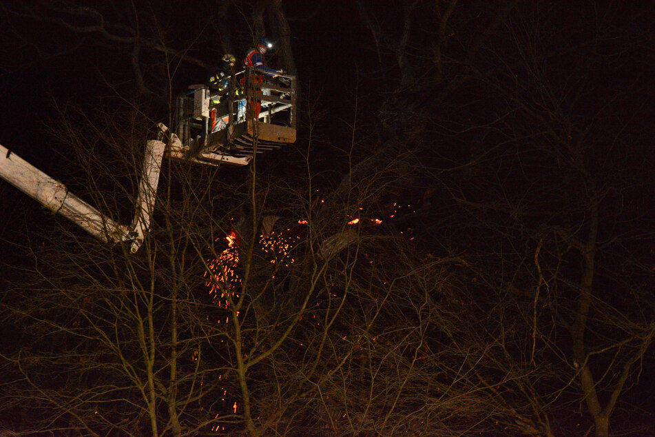 Das Baumhaus im Hambacher Forst wurde bei dem Brand zerstört.