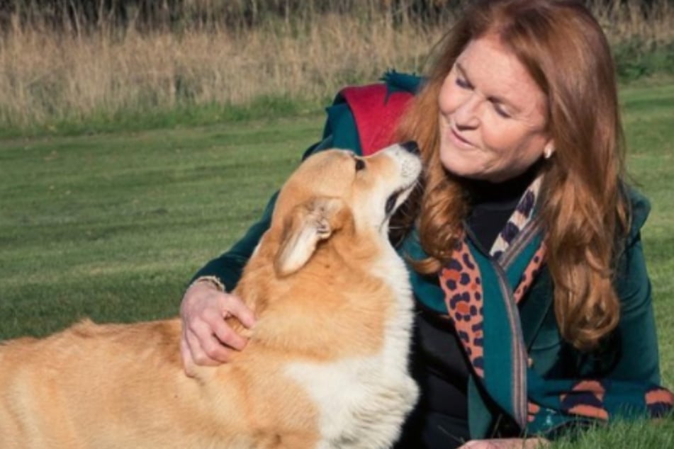 Sarah Ferguson: Prinz Andrews Ex-Frau posiert mit Queen-Hunden