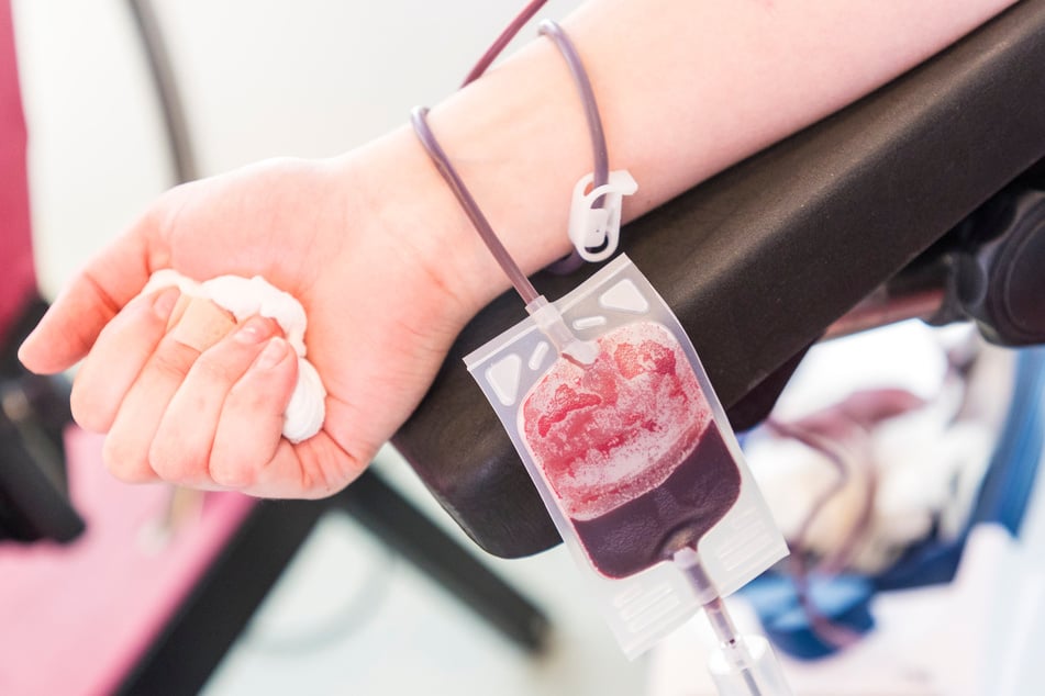 Damit das Blut gut fließen kann, müssen die Spender einen Wattebausch in der Hand kneten.