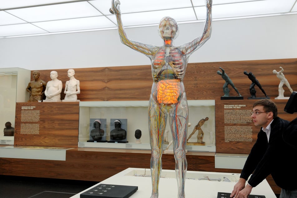 Ein Bild, das sicherlich noch viele Dresdner und Dresdnerinnen kennen werden. Die ikonische, frei stehende "Gläserne Frau" im Deutschen Hygiene-Museum. (Archivbild)