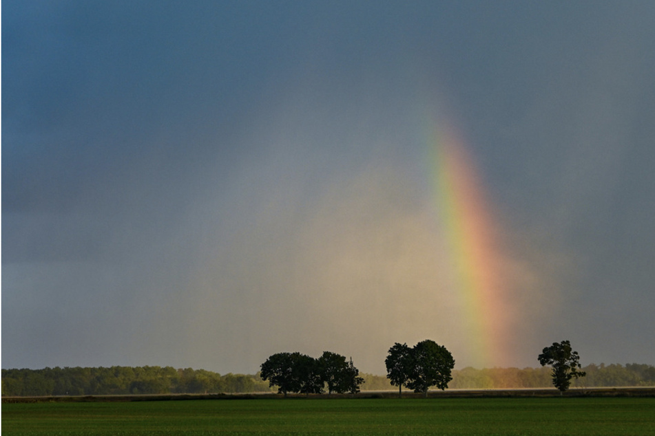 So viele Regenbogen wie in 2023 hat es im Freistaat wohl lange nicht mehr gegeben. (Symbolbild)