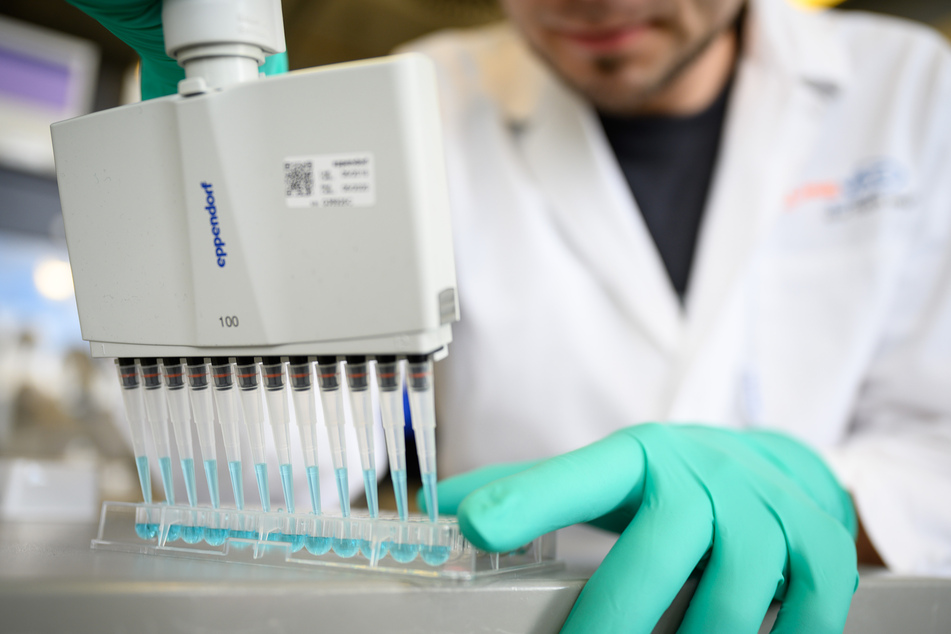 Ein Mann pipettiert in einem Labor des biopharmazeutischen Unternehmens Curevac eine blaue Flüssigkeit.
